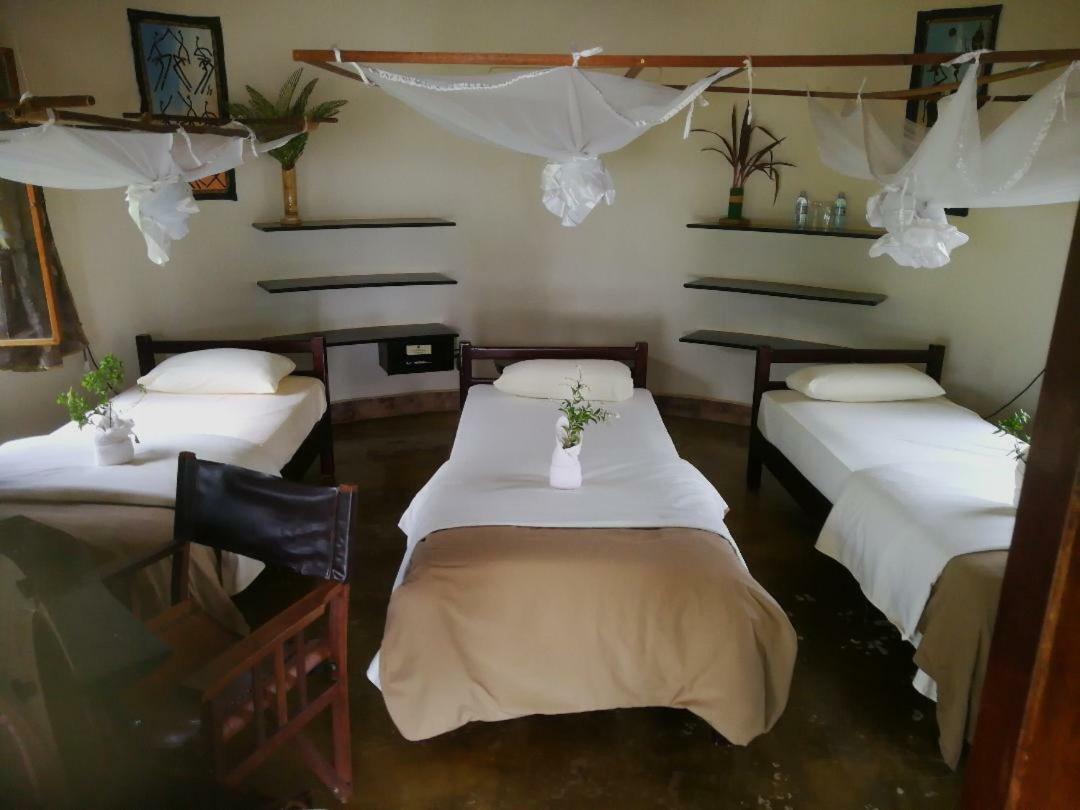 Hôtel The Haven à Jinja Extérieur photo